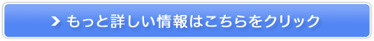 yVizuPmv\Eƒpe̔TCg